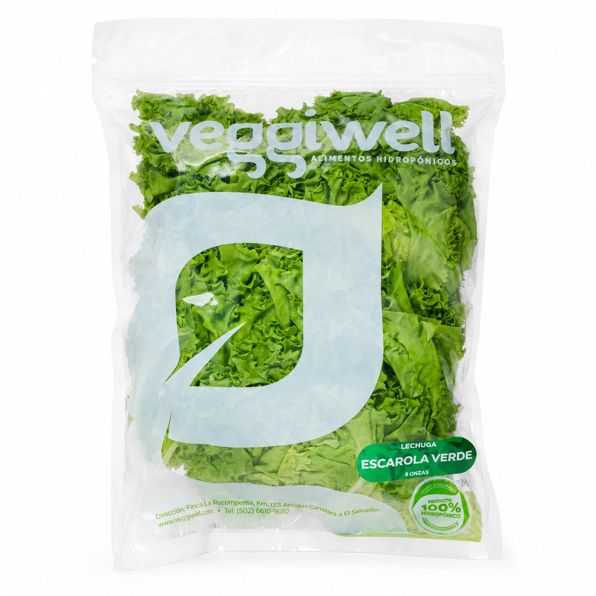 VEGGIWELL LECHUGA ESCAROLA VERDE 8 OZ