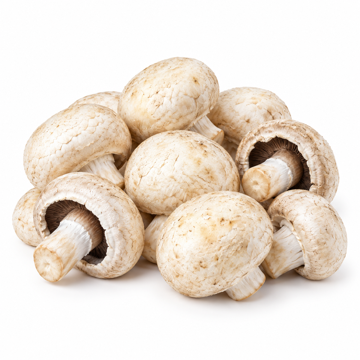 LA CARRETA CHAMPIÑONES  1/1  LB