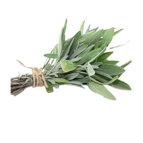 TECOLOTE SALVIA SALVIA BOLSA 1 OZ