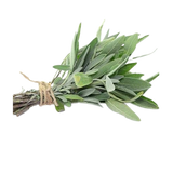 TECOLOTE SALVIA SALVIA BOLSA 1 OZ
