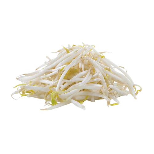 TECOLOTE SOYA 1 UNIDAD