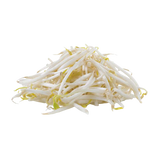 TECOLOTE SOYA 1 UNIDAD