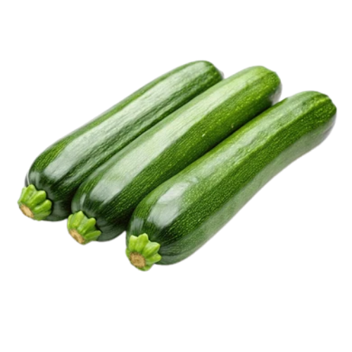 TECOLOTE ZUCHINI 1 UNIDAD