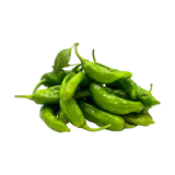 AGROPECUARIA EL PULTE SHISHITO PEPPERS 1LB