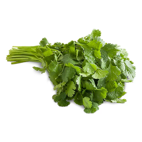 CHIPO CILANTRO 1 UNIDAD