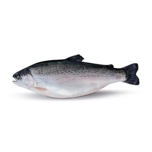 DEL NORUEGO TRUCHA FILETE 11 OZ