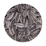 ESPECIAS GUATEMALA SEMILLA DE GIRASOL NORMAL 1LB