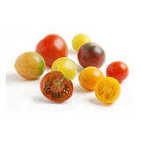 HEIRLOOMS TOMATE BABY COLORES BANDEJA 1 UNIDAD