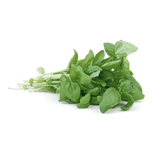 LEGUME ALBAHACA BOLSA 8 OZ