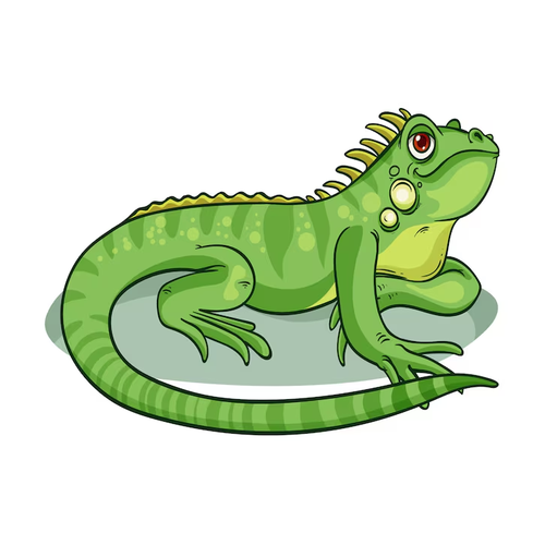 MARKET LAGARTO LAGARTO 1LB