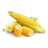 MAXIM ELOTE CRIOLLO BANDEJA 4 UNDS 4 UNIDAD