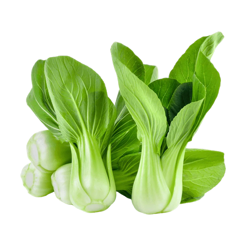 MAXIM PAK CHOY LECHUGA 1 UNIDAD