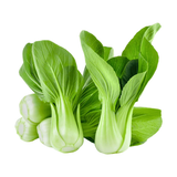 MAXIM PAK CHOY LECHUGA 1 UNIDAD