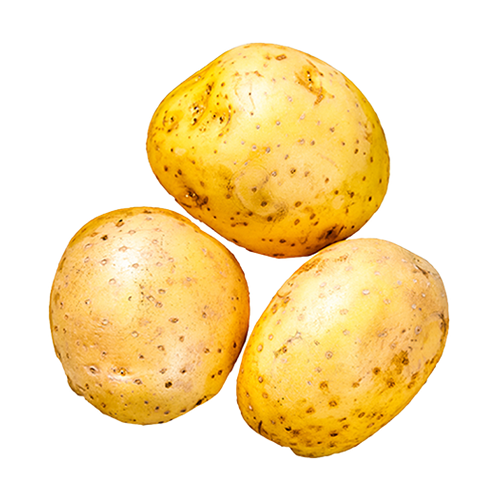 MAXIM PAPA IMPORTADA 1LB
