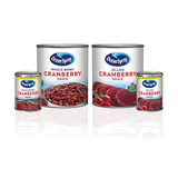 OCEAN SPRAY SALSA JELLIED 397g
