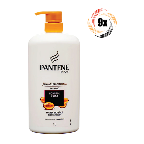 PANTENE SHAMPOO 2 EN 1 CONTROL CAIDA 1/1 LT