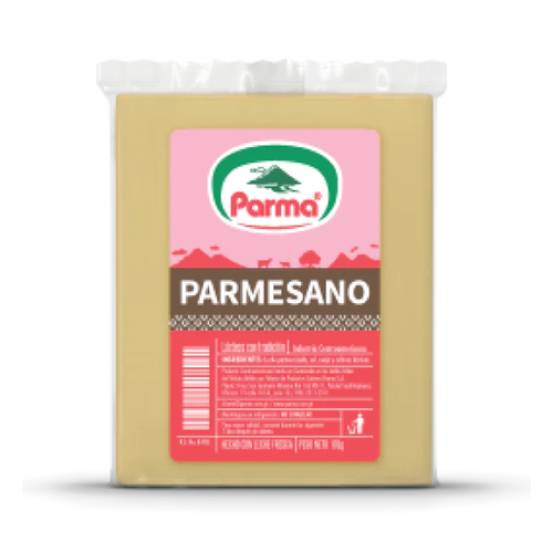 PARMA QUESO PARMESANO TROZO 170g