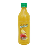RABINAL JUGO MANGO 500ml