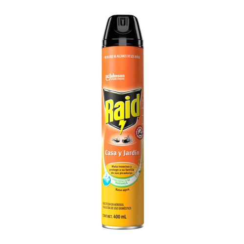 RAID INSECTICIDA AEROSOL CASA Y JARDIN 1 CT PE_CL