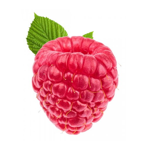 SPECIAL FRUIT FRAMBUESA FRAMBUESA AMARILLA 6 OZ
