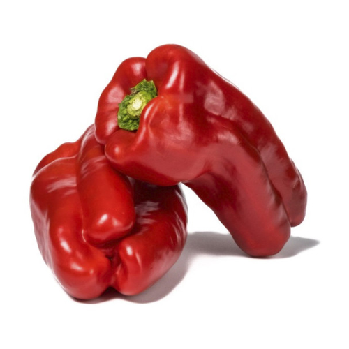 TECOLOTE CHILE MORRON 1LB