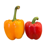 TECOLOTE CHILE PIMIENTO 1 UNIDAD