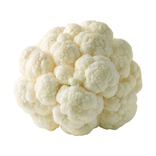 TECOLOTE COLIFLOR 1 UNIDAD