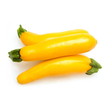 TECOLOTE MINI ZUCHINI AMARILLO BANDEJA 1LB