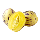 TECOLOTE PEPINO 1 UNIDAD