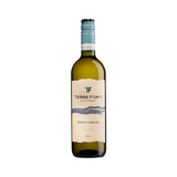 TERRE FORTI VINO BLANCO PINOT GRIGIO 750ml