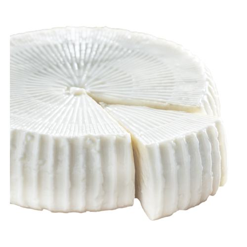 VERA LATTE QUESO PANELA 1LB